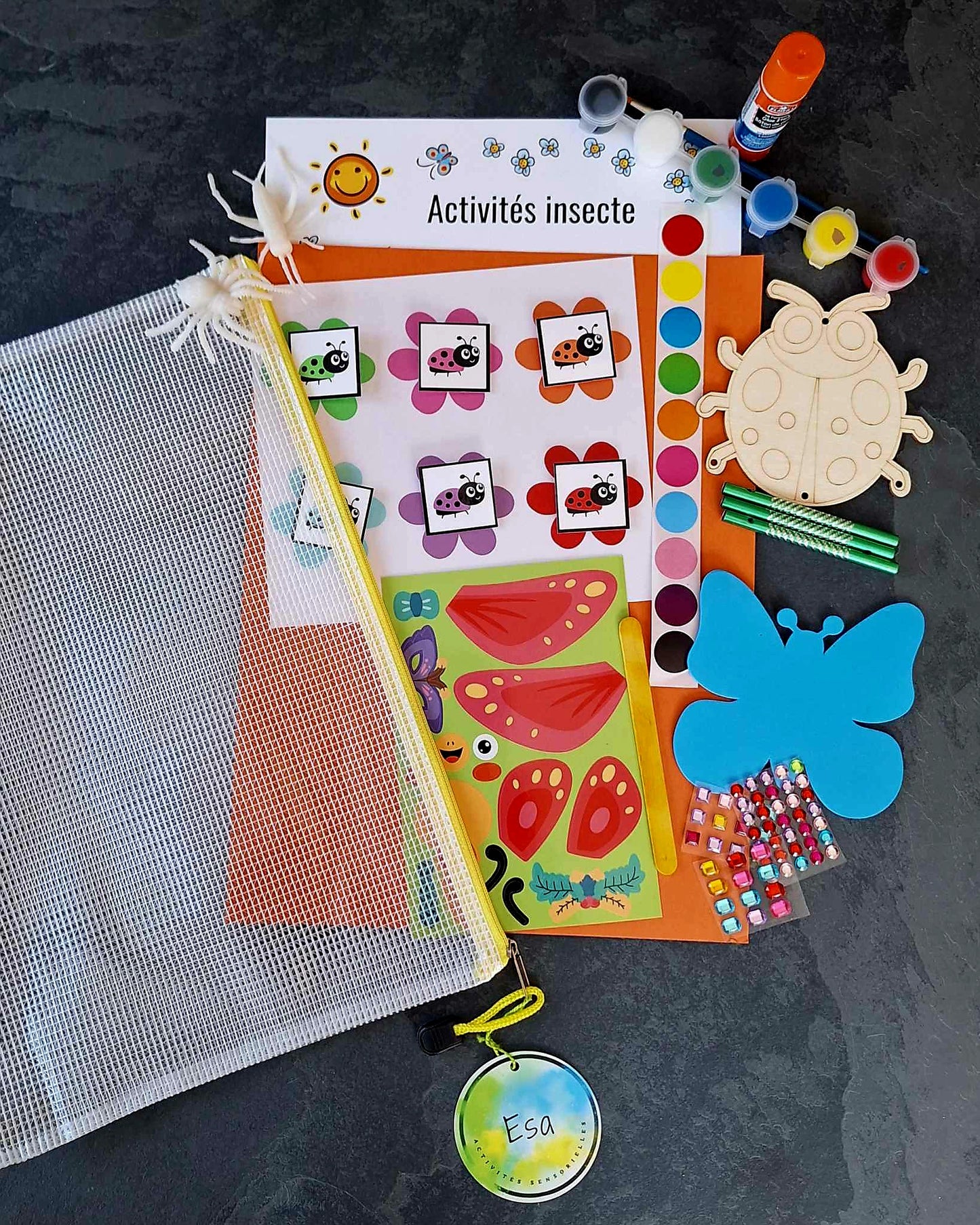 Pochette d'Activités Insectes