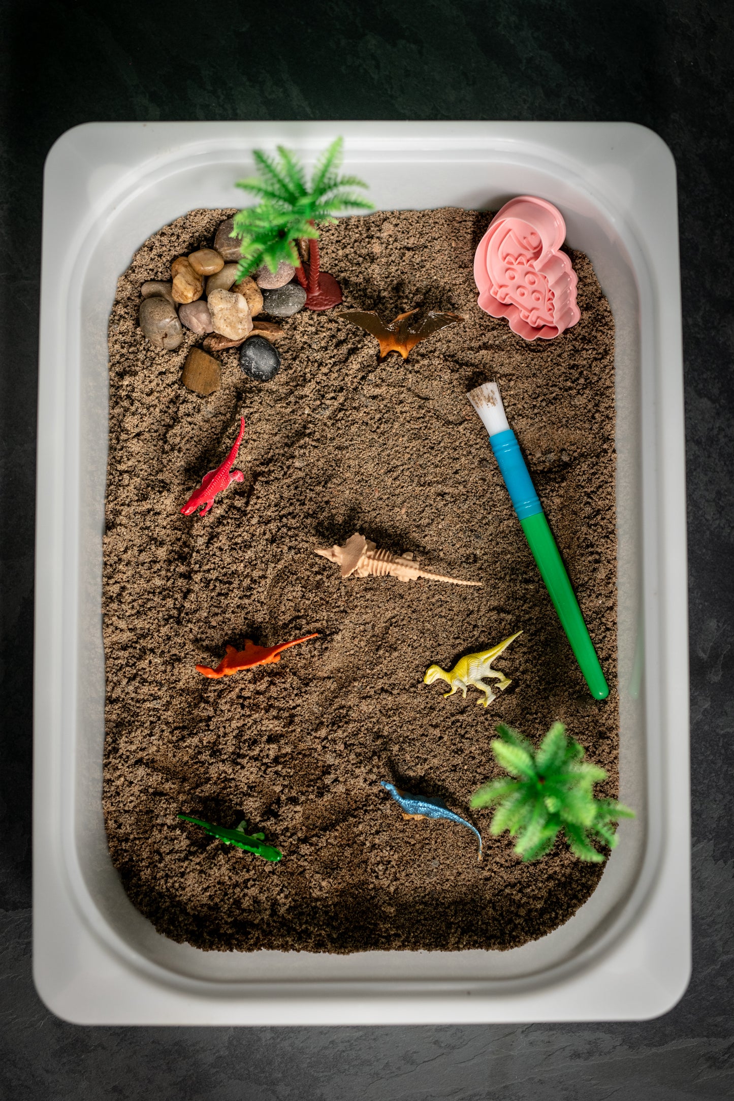 Bac sensoriel dinosaure