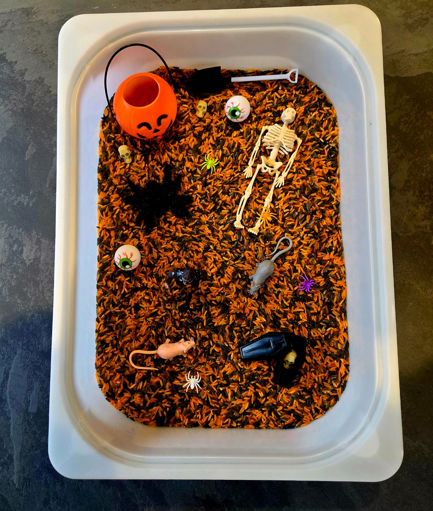 Bac Sensoriel Halloween
