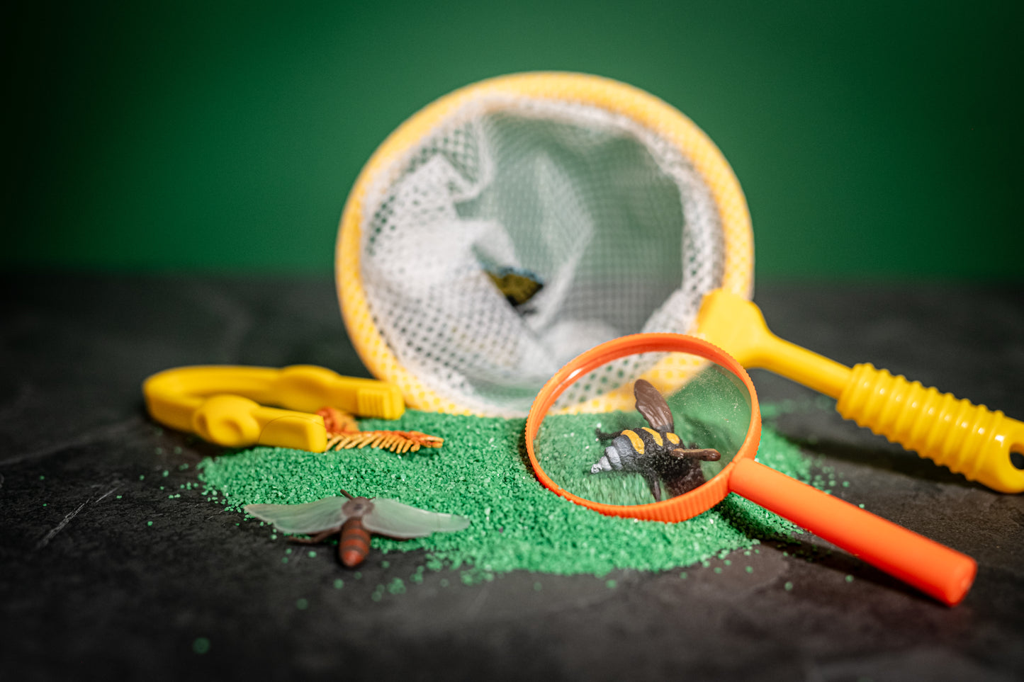 Bac Sensoriel Insectes
