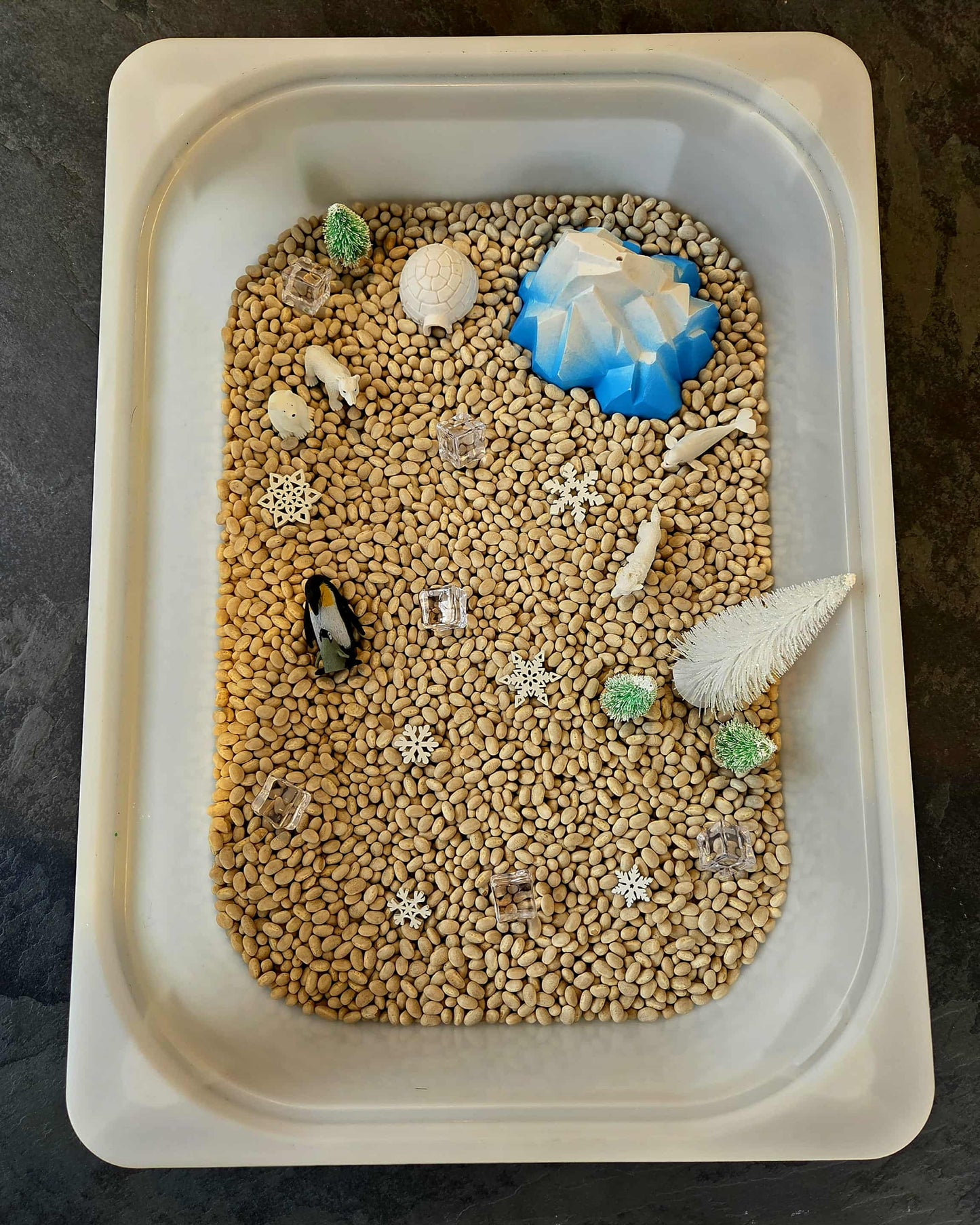 Bac sensoriel Animaux Polaires