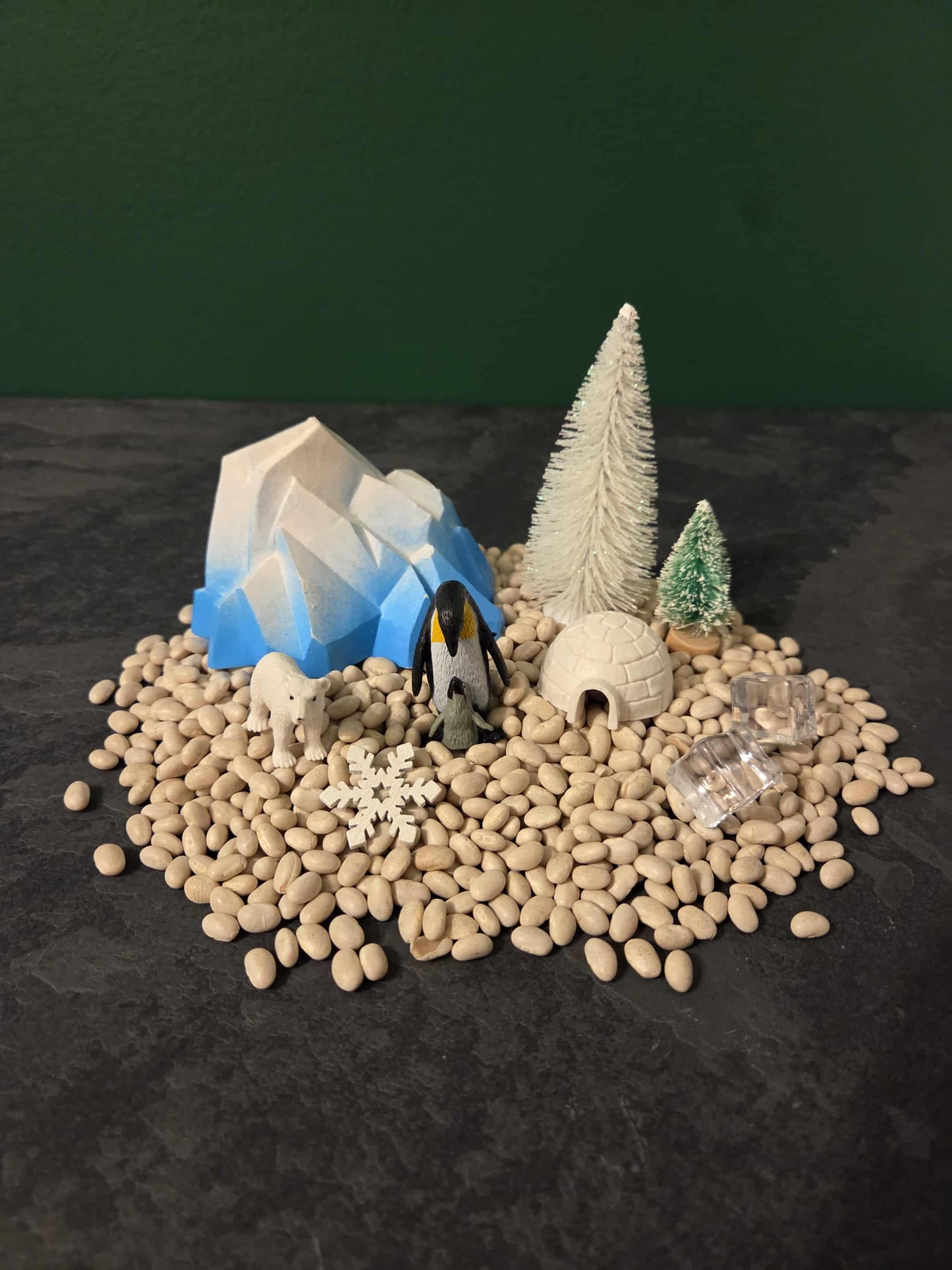 Bac sensoriel Animaux Polaires