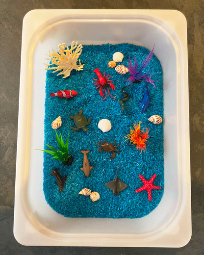 Bac sensoriel Fond marin