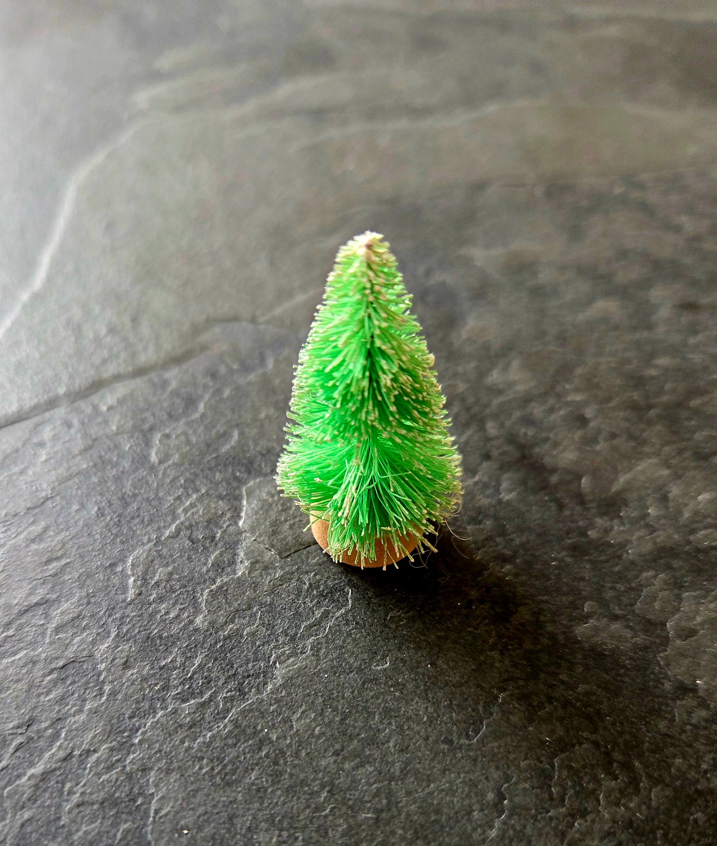 Sapin