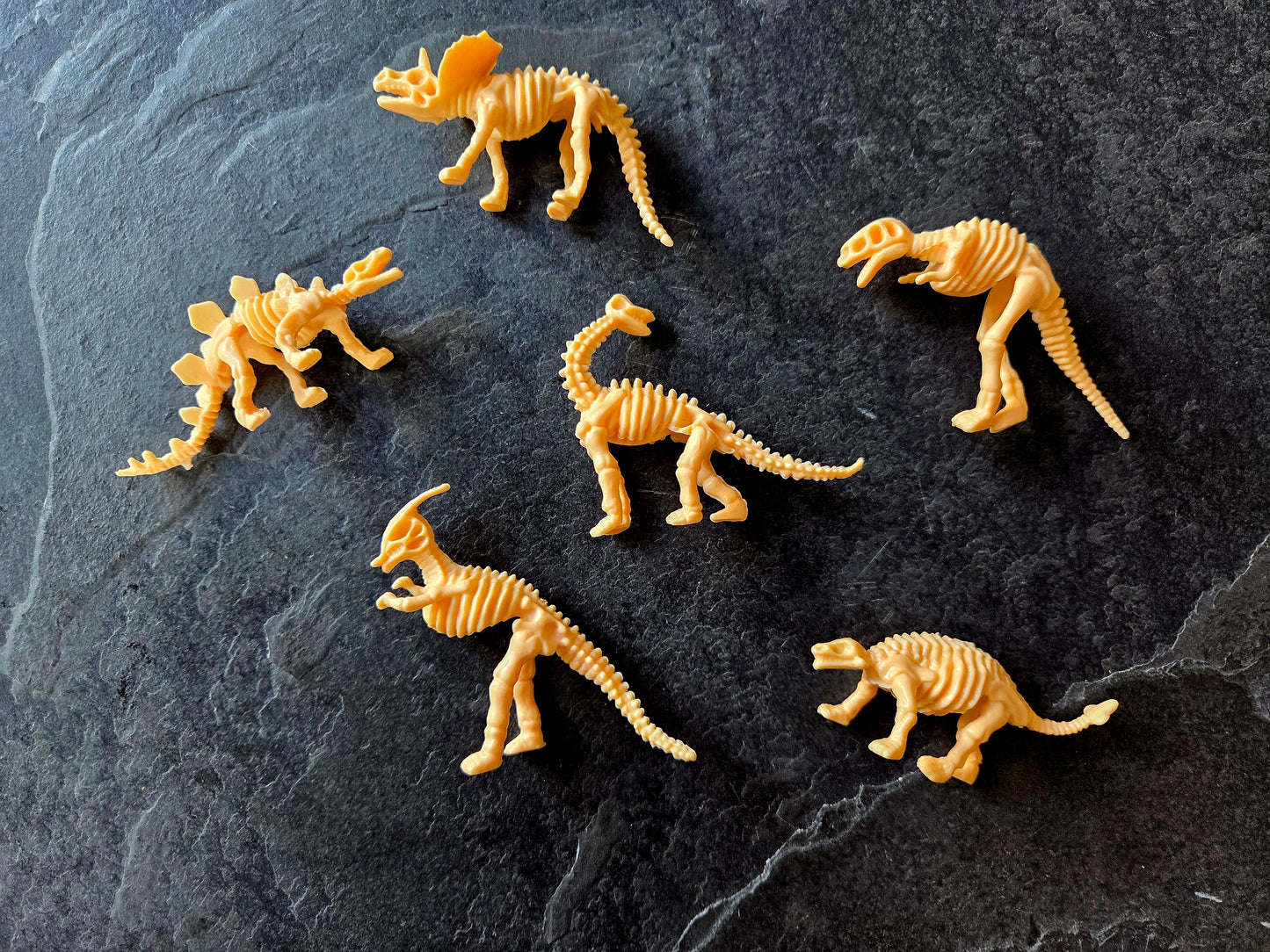 Squelette de dino