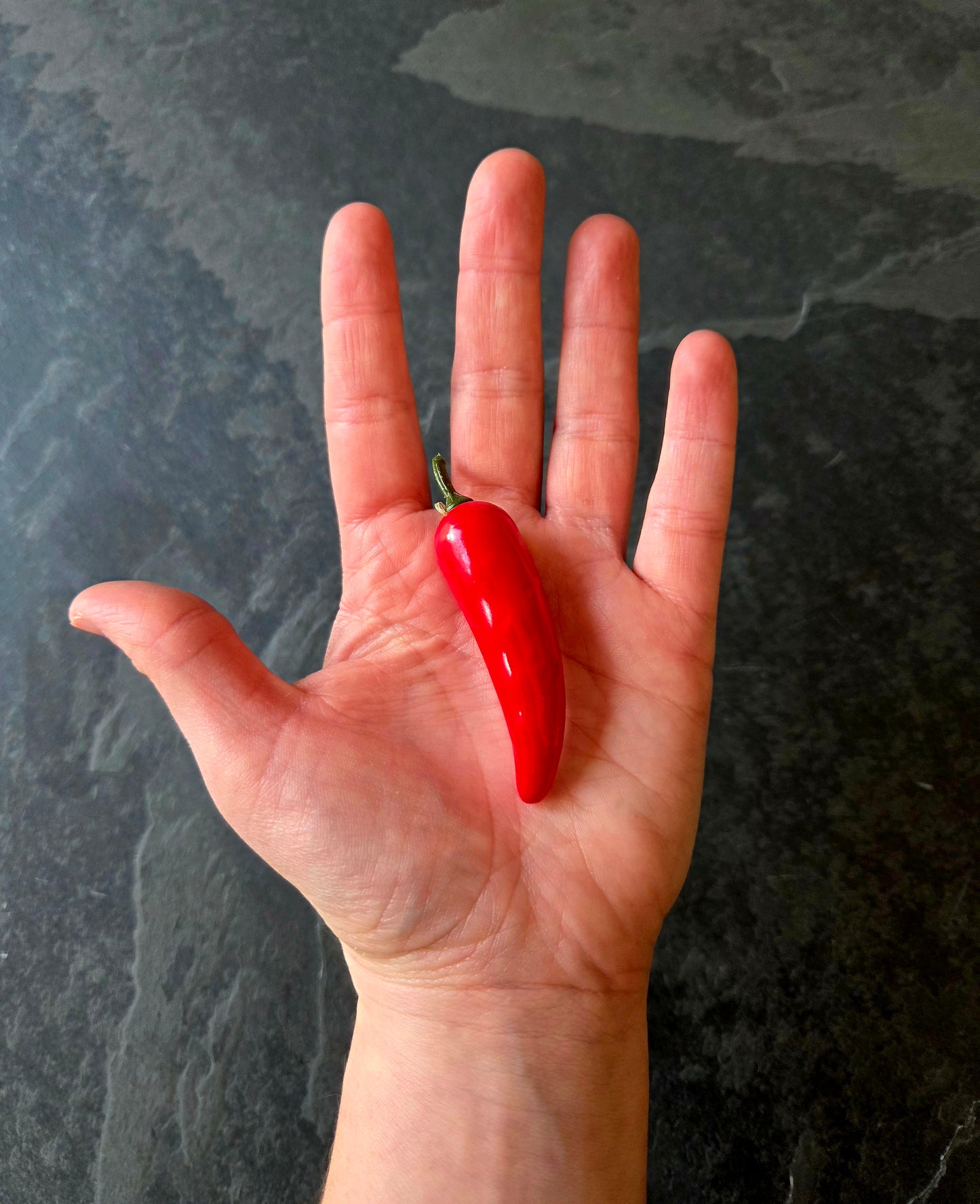 Piment