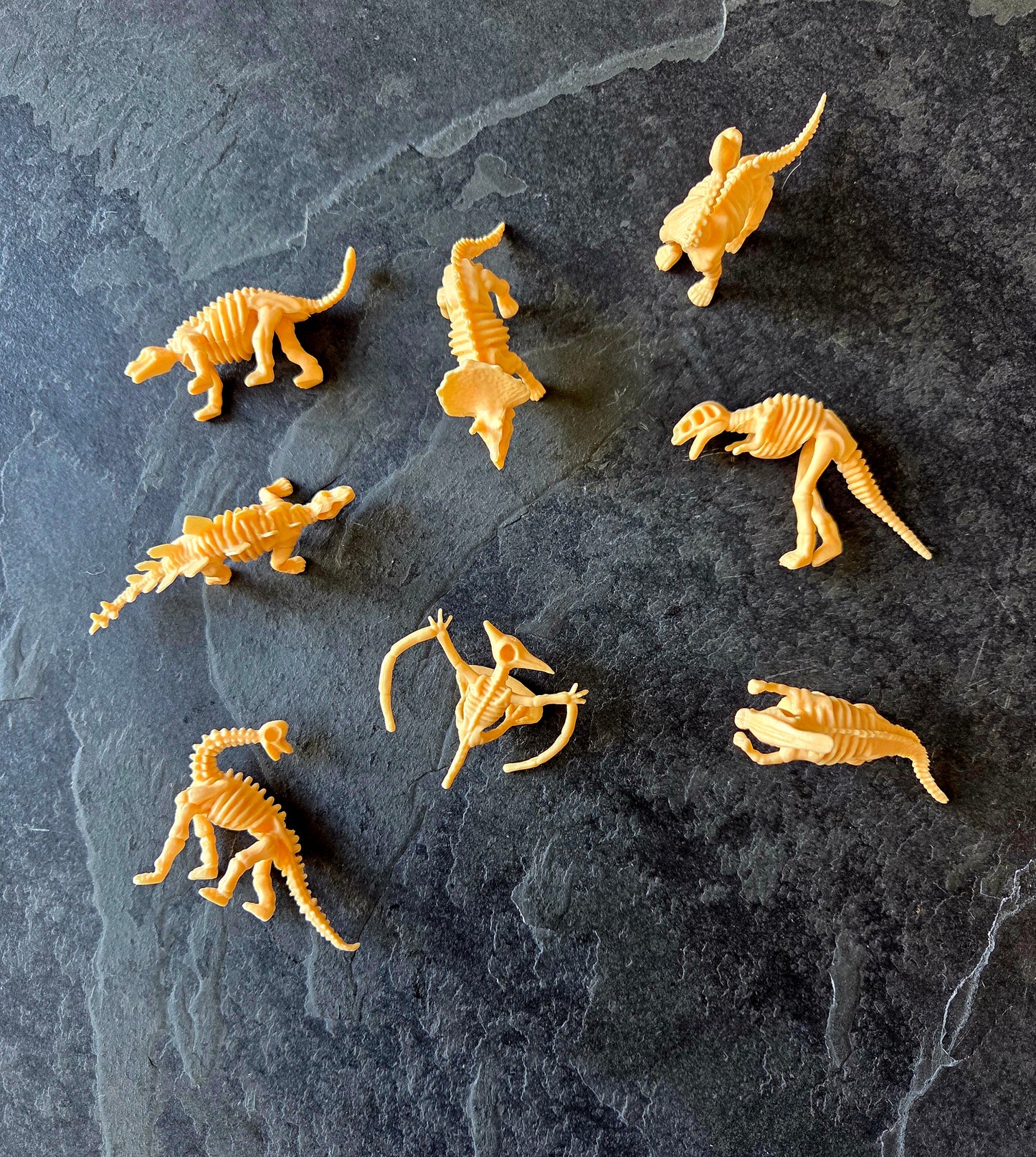 Squelette de dino