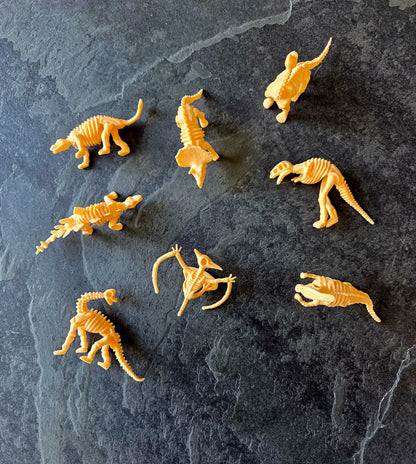 Squelette de dino
