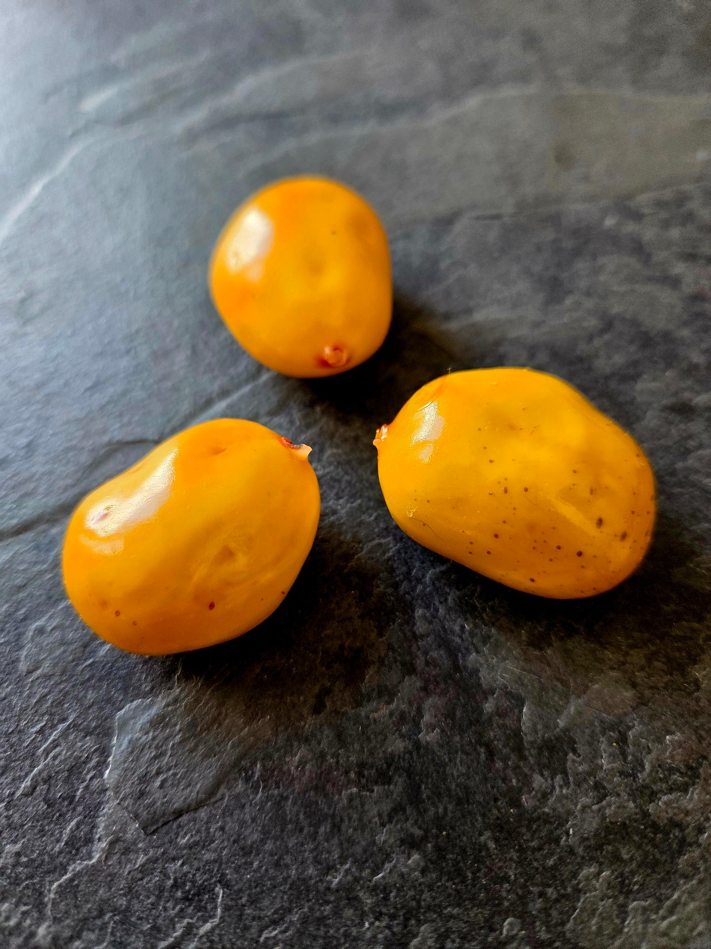 Pomme de terre