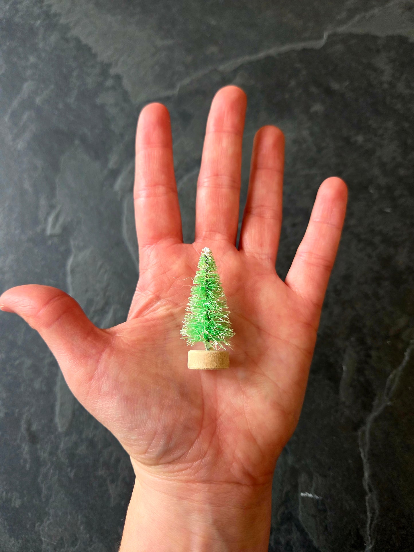 Sapin
