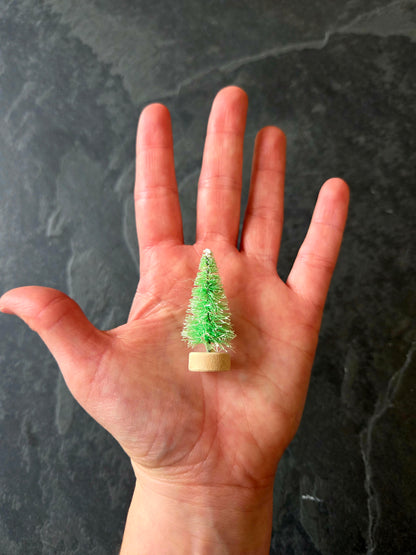 Sapin