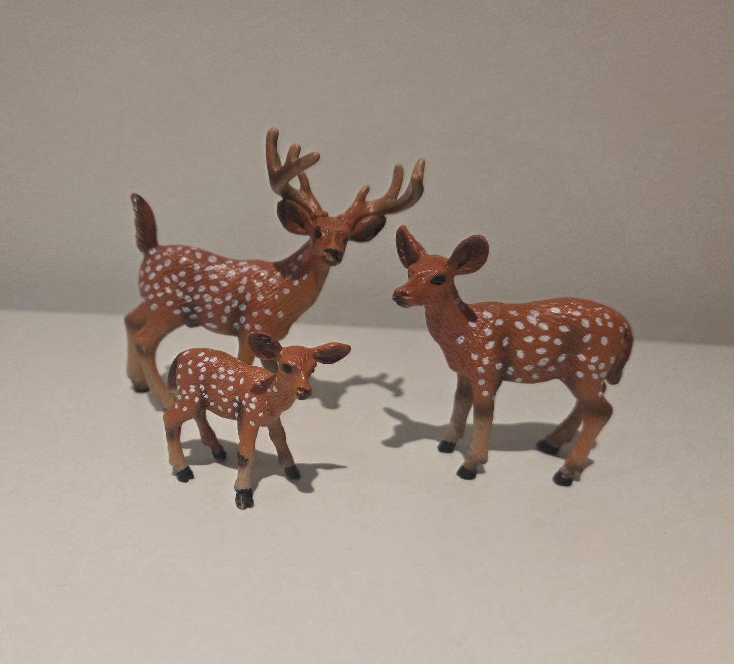 Cerf